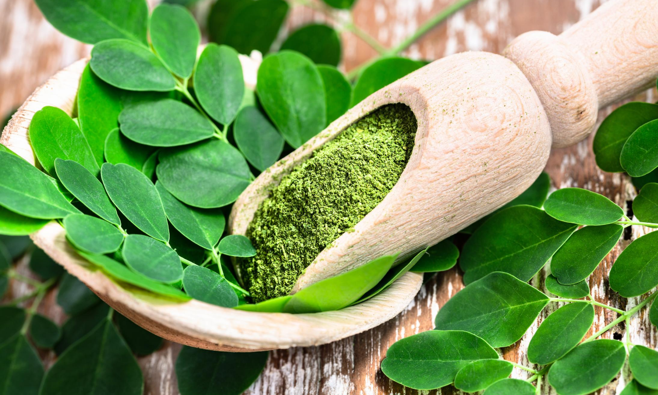 THE MAGIC OF MORINGA