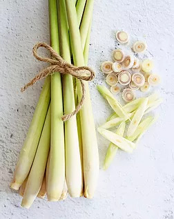 Lemongrass