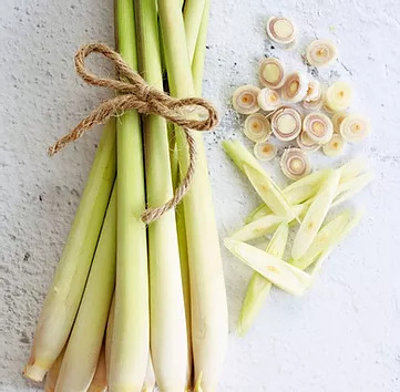 Lemongrass